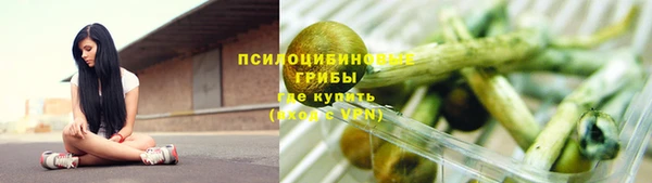 прущие крисы Аркадак