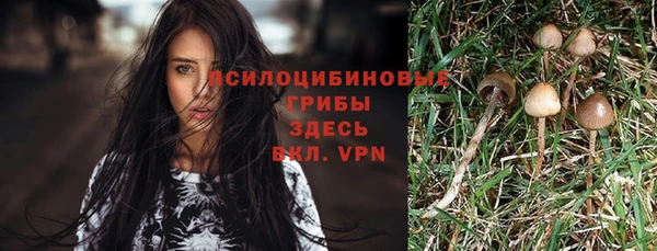 прущие крисы Аркадак