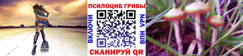 Галлюциногенные грибы Psilocybine cubensis  omg зеркало  Острогожск 